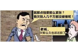 陆川遇到恶意拖欠？专业追讨公司帮您解决烦恼